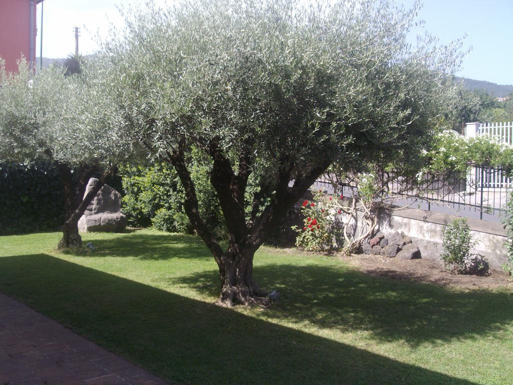 Scatitti House Villa Zafferana Etnea Rum bild